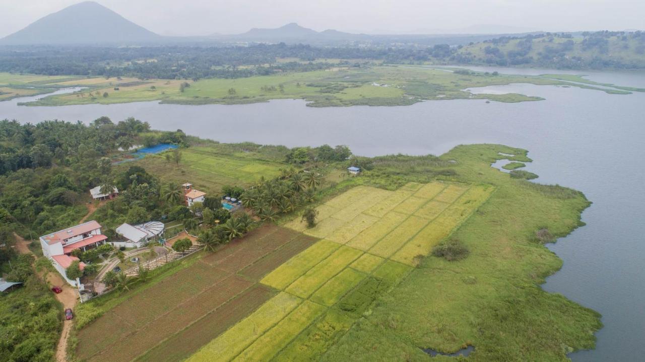 Nilambara Lake View Dambulla Exterior foto