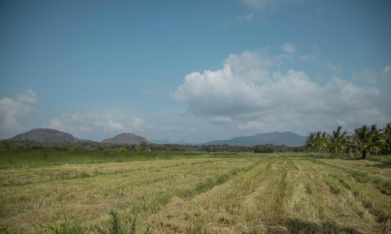 Nilambara Lake View Dambulla Exterior foto
