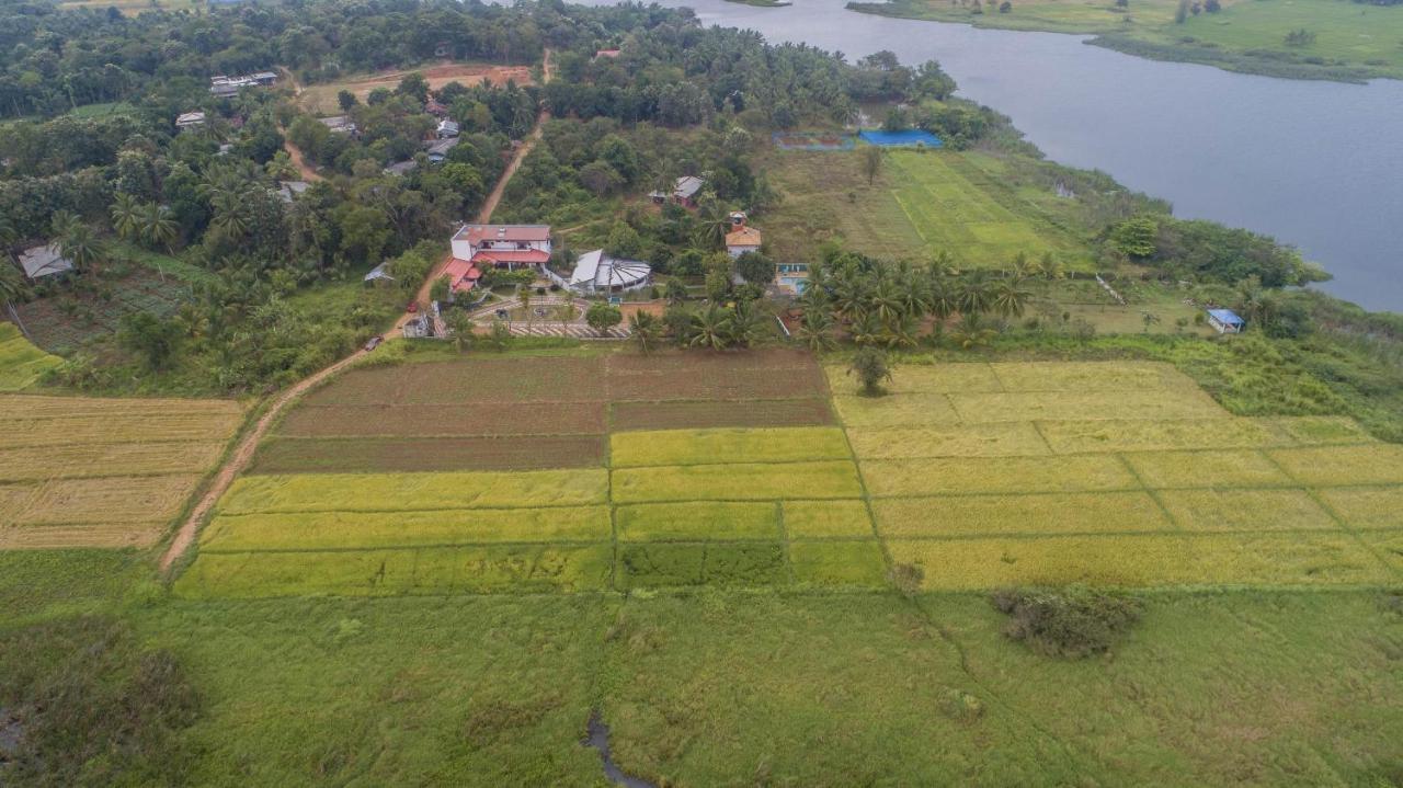 Nilambara Lake View Dambulla Exterior foto